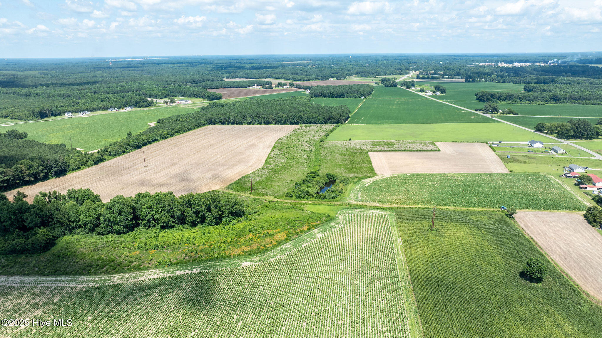 0 Oberry Road Dudley, NC 28333 - Photo 24 of 38 0OberryRd-DudleyNC-24