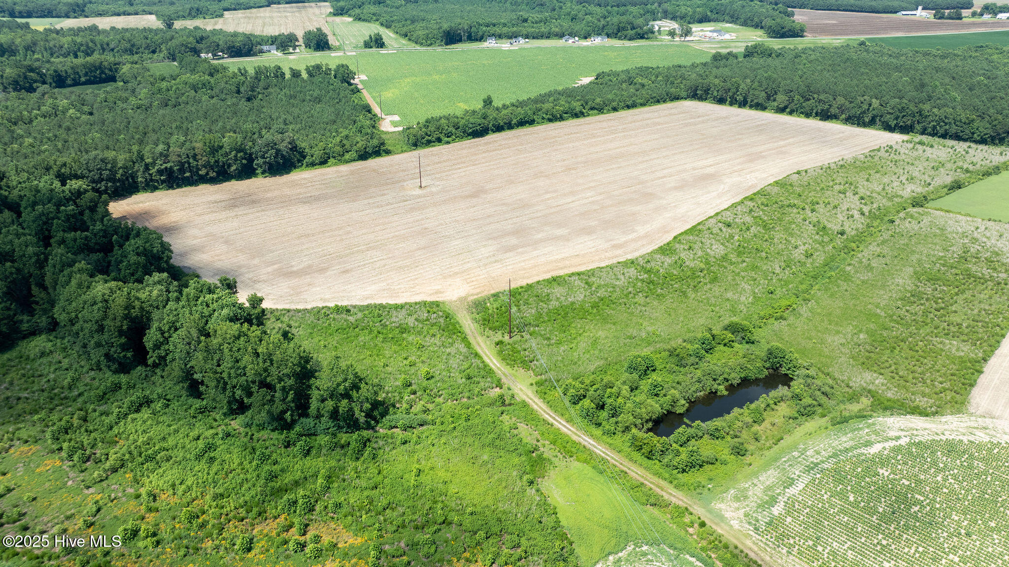 0 Oberry Road Dudley, NC 28333 - Photo 26 of 38 0OberryRd-DudleyNC-26
