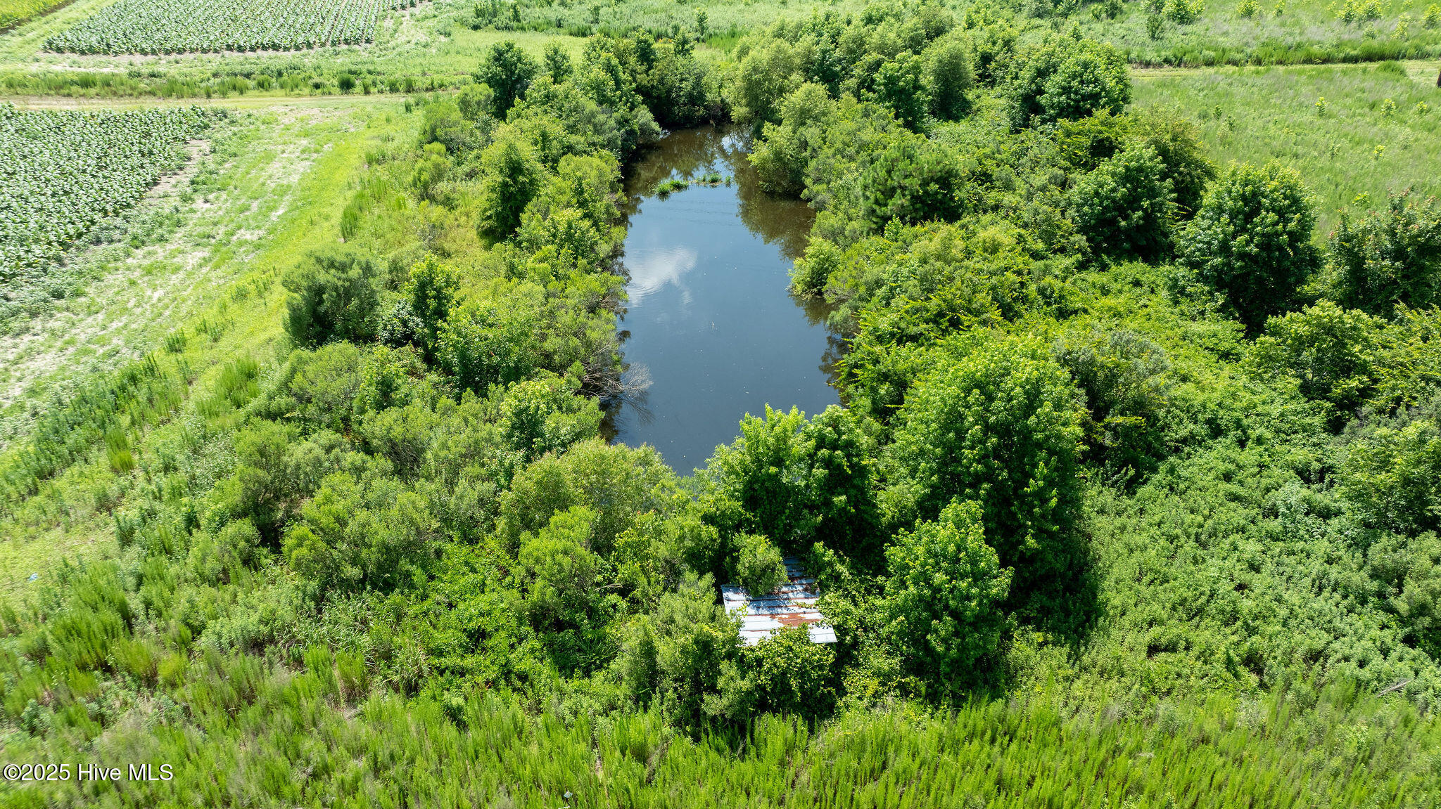 0 Oberry Road Dudley, NC 28333 - Photo 30 of 38 0OberryRd-DudleyNC-30