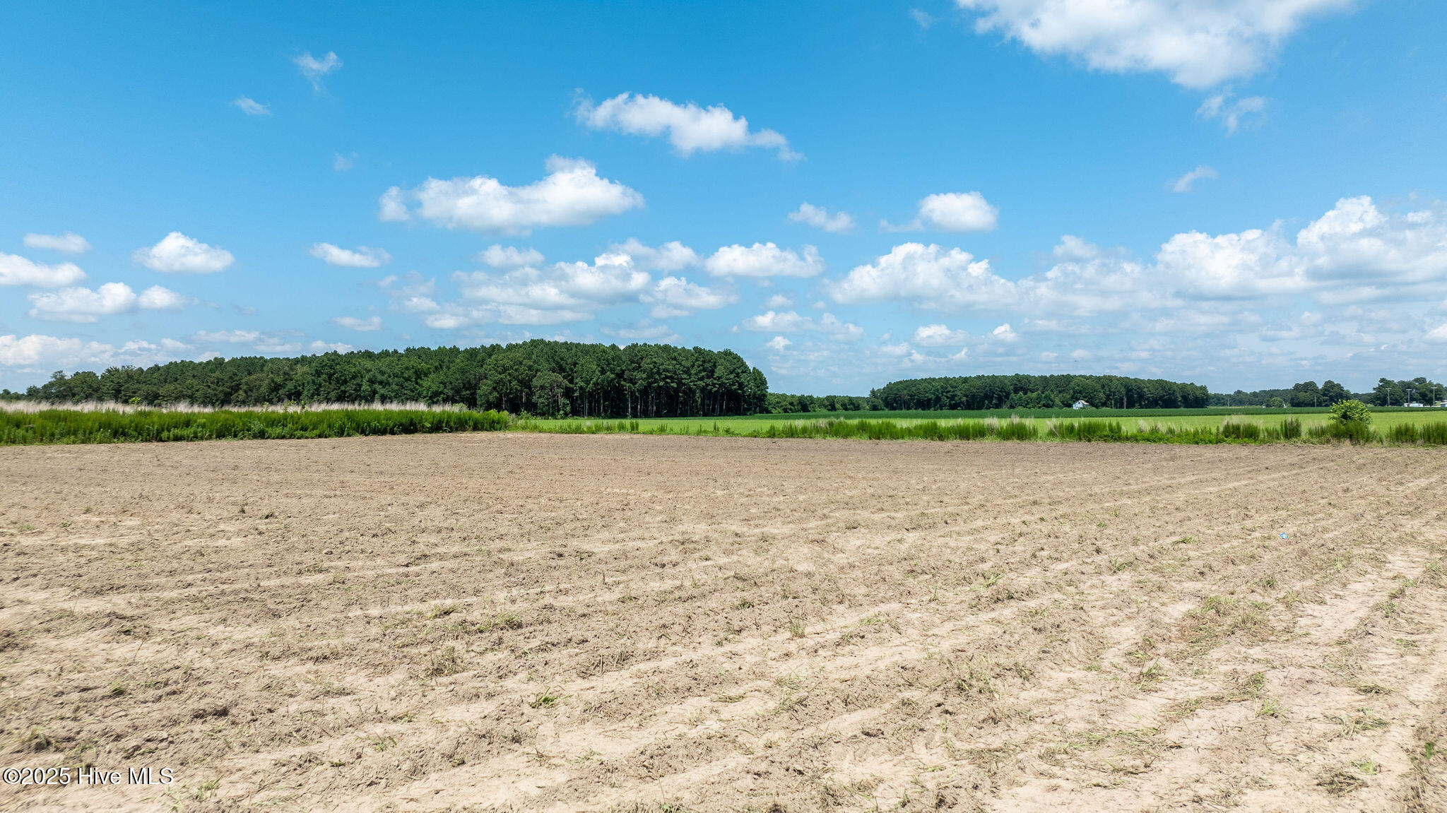 0 Oberry Road Dudley, NC 28333 - Photo 3 of 38 0OberryRd-DudleyNC-2