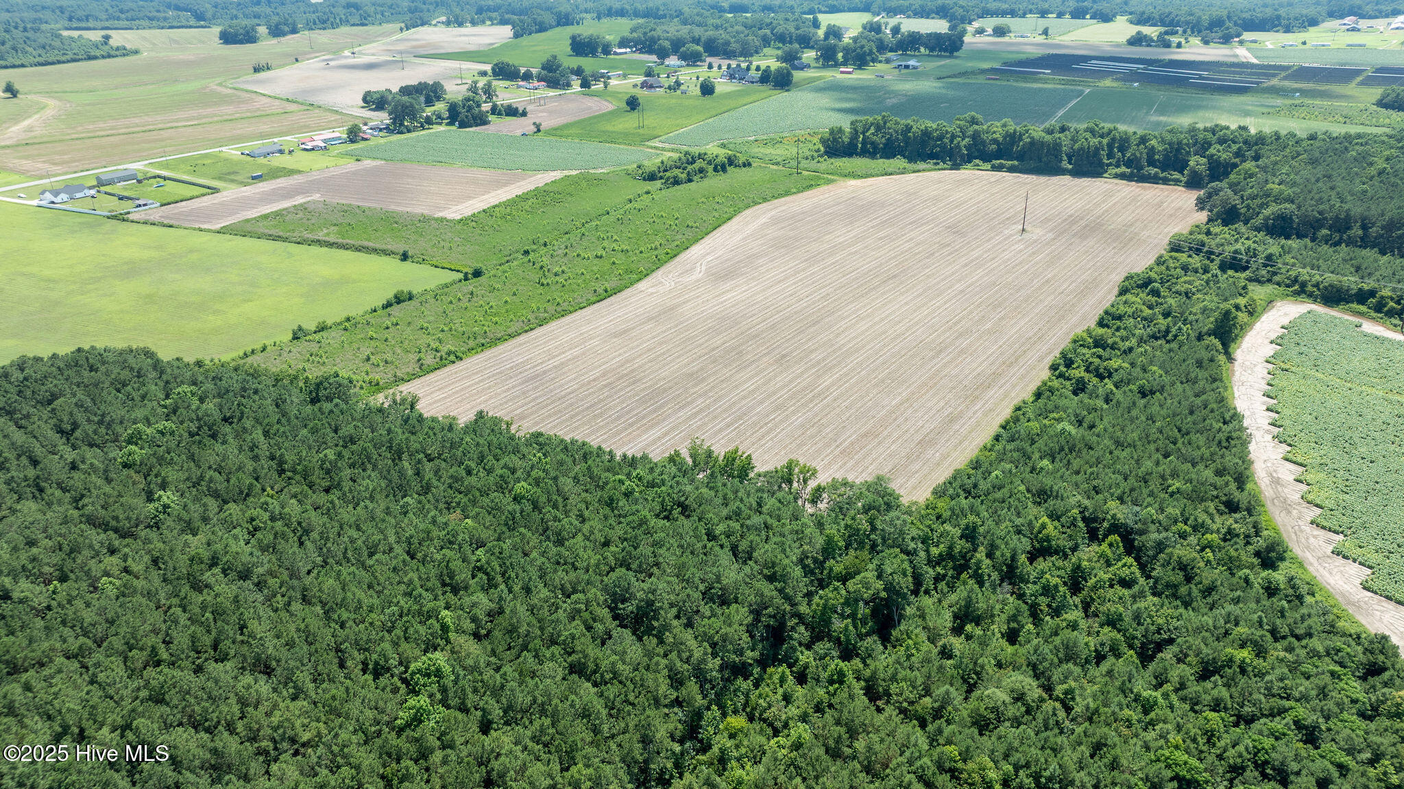 0 Oberry Road Dudley, NC 28333 - Photo 34 of 38 0OberryRd-DudleyNC-34