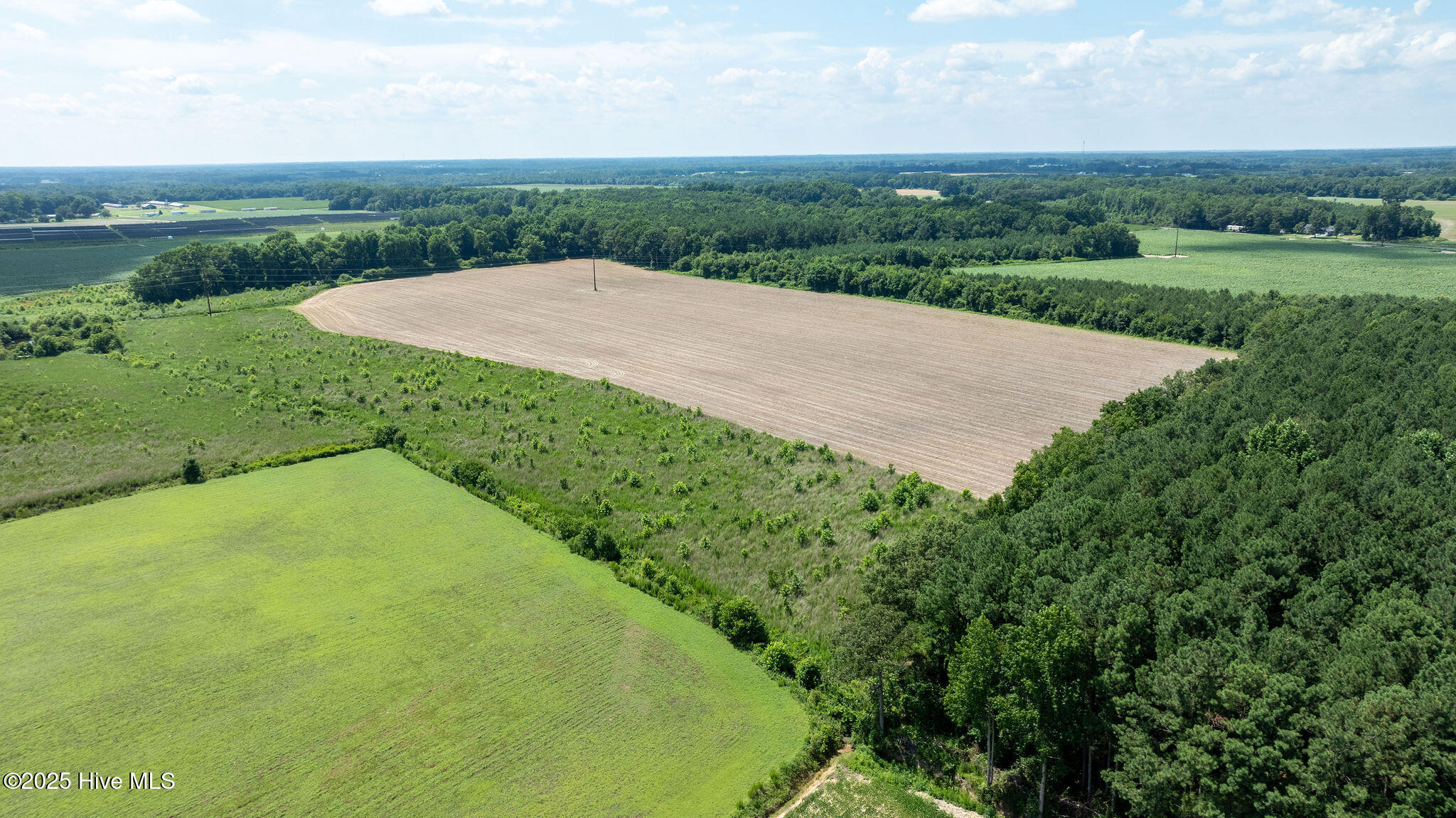 0 Oberry Road Dudley, NC 28333 - Photo 35 of 38 0OberryRd-DudleyNC-35