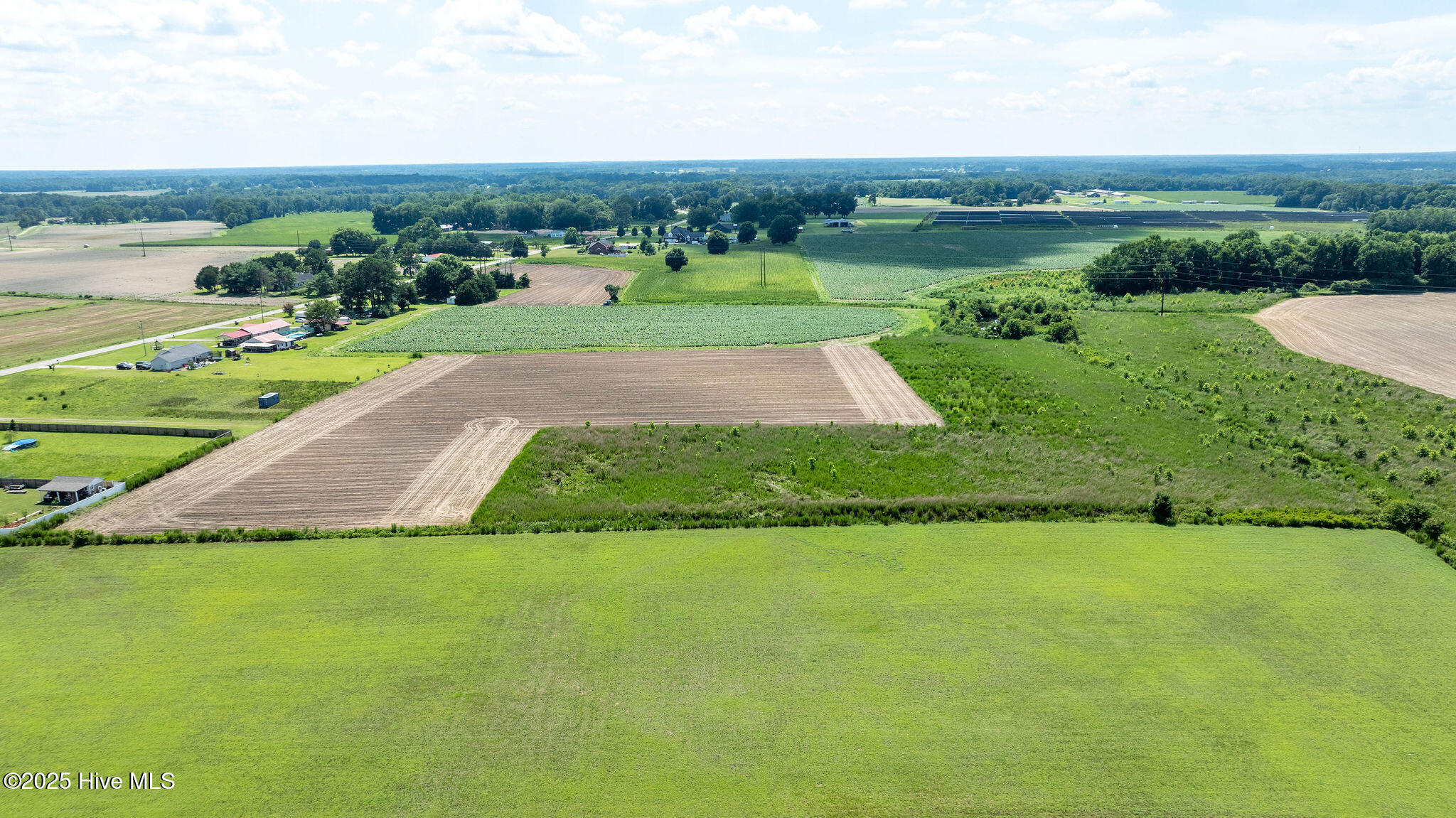 0 Oberry Road Dudley, NC 28333 - Photo 36 of 38 0OberryRd-DudleyNC-36
