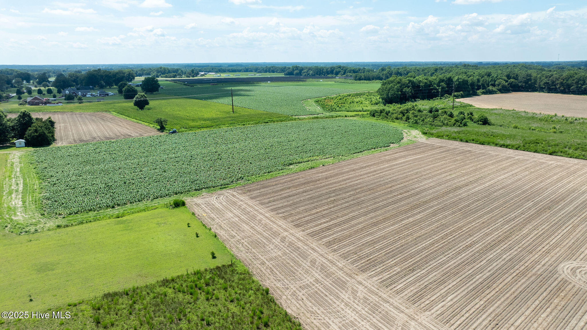 0 Oberry Road Dudley, NC 28333 - Photo 37 of 38 0OberryRd-DudleyNC-37