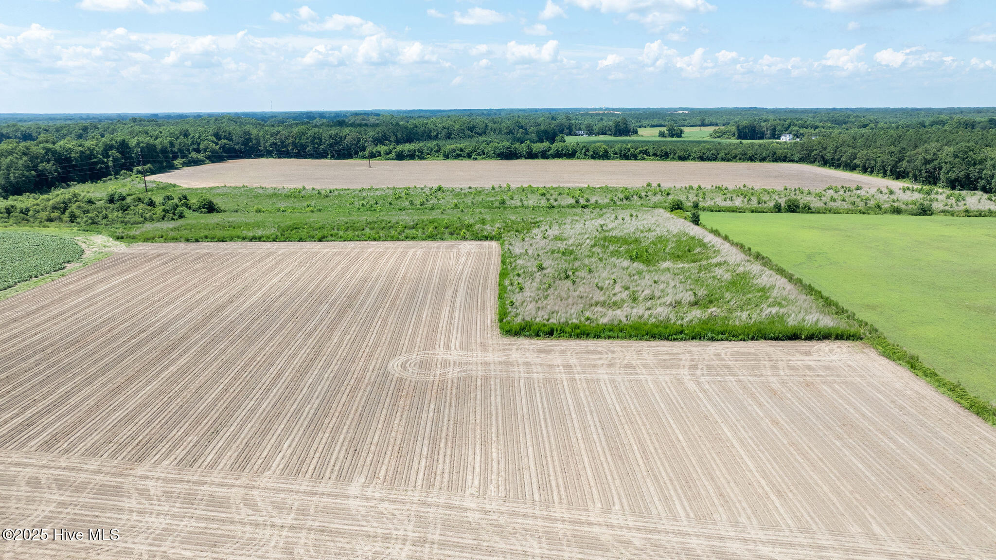 0 Oberry Road Dudley, NC 28333 - Photo 38 of 38 0OberryRd-DudleyNC-38