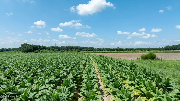 $379,900 | 0 Oberry Road, Dudley, NC 28333