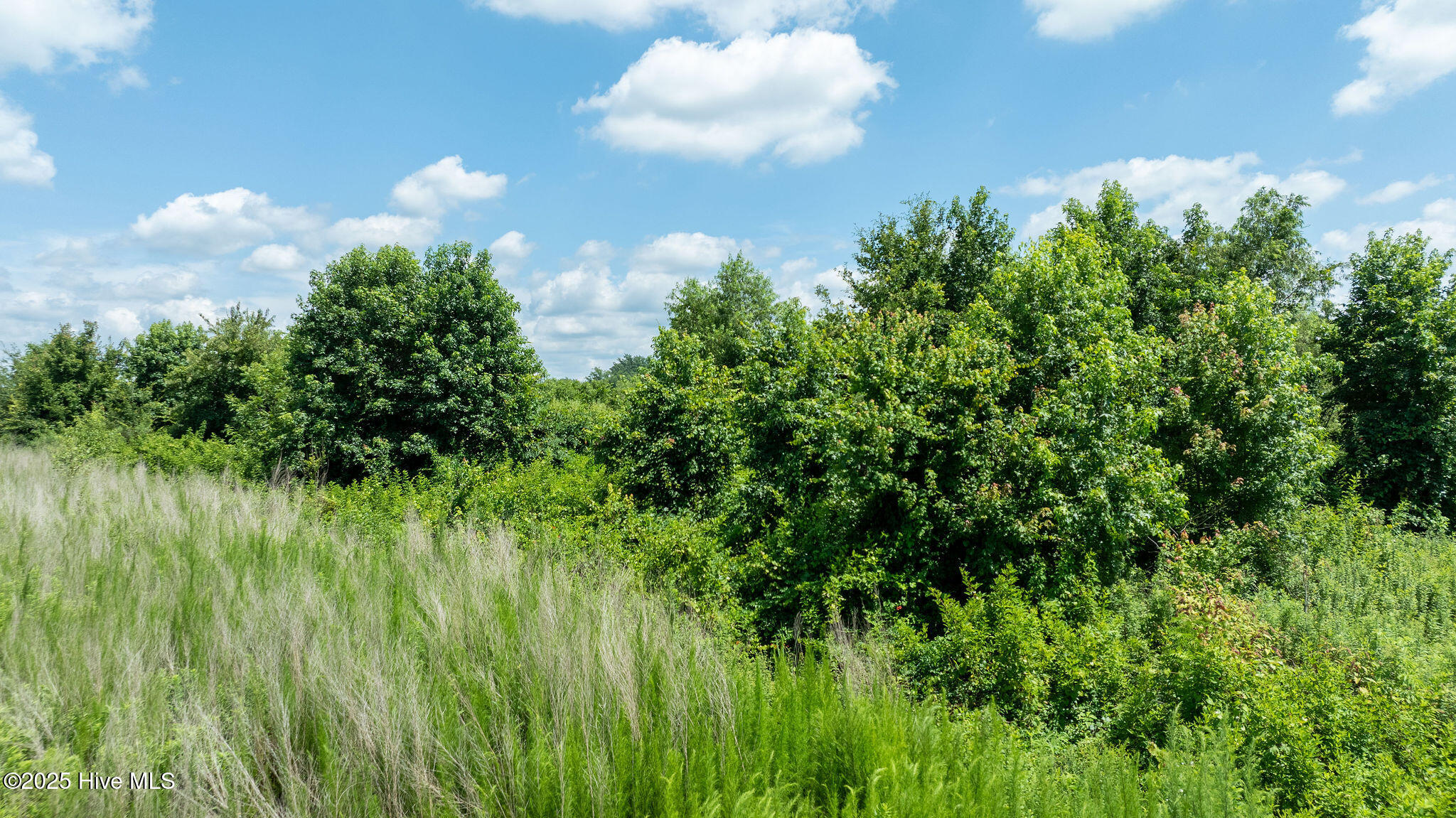 0 Oberry Road Dudley, NC 28333 - Photo 8 of 38 0OberryRd-DudleyNC-8