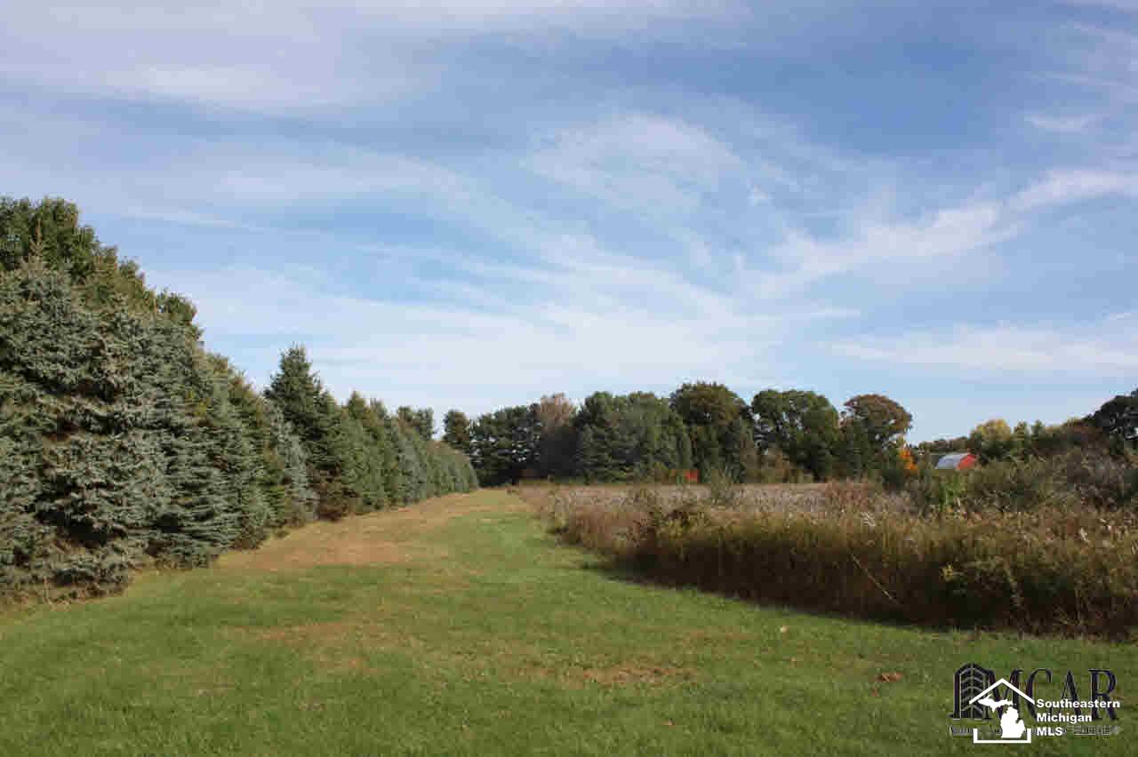 14638 Ida Center Road Petersburg, MI 49270 - Photo 29 of 30 Property