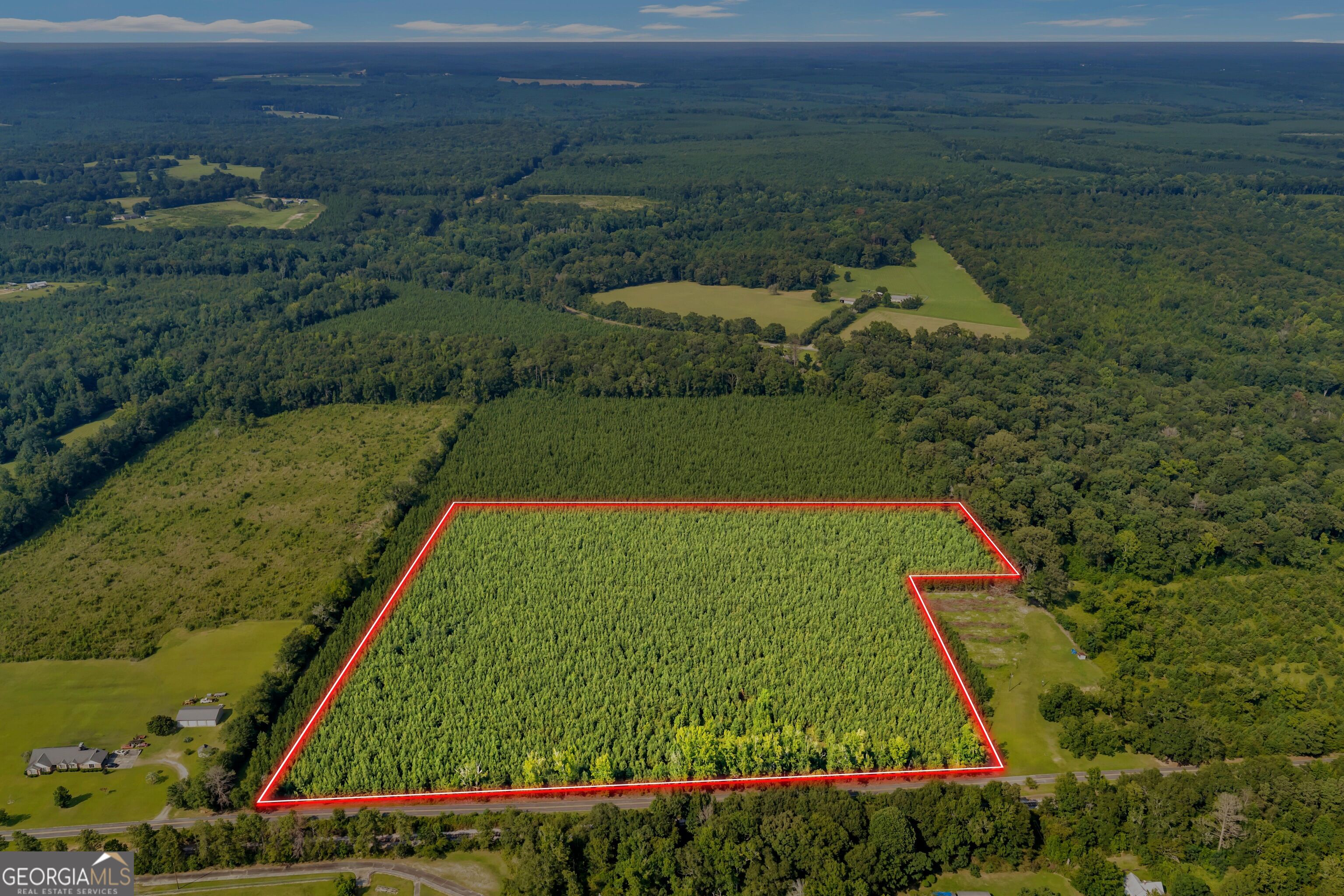 Allen Lot Turkey Creek Road Danville, GA 31017 - Photo 8 of 8 Gallery Image 8