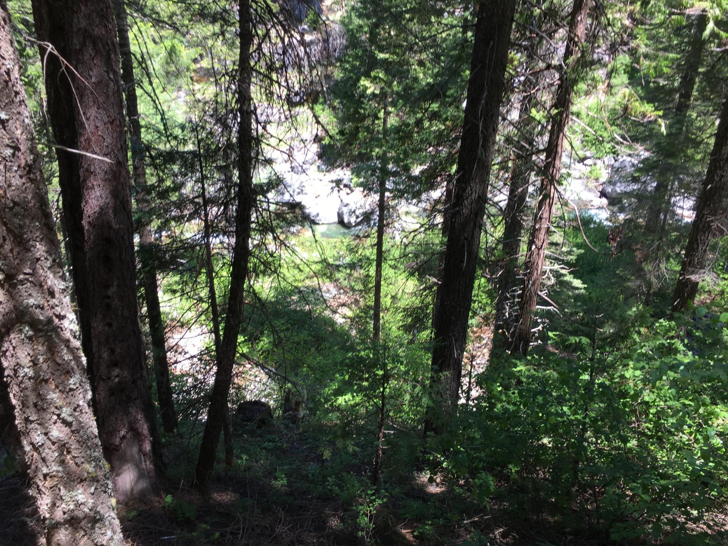 1 Usfs 8bn54 Road Pioneer, CA 95666 - Photo 6 of 51