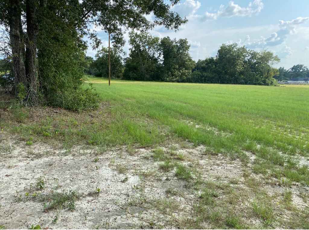 268 Reardon Road Dothan, AL 36301 - Photo 2 of 3
