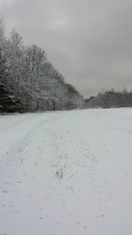 0 Banton And Gore Roads Palermo, ME 04354 - Photo 17 of 20 Photo