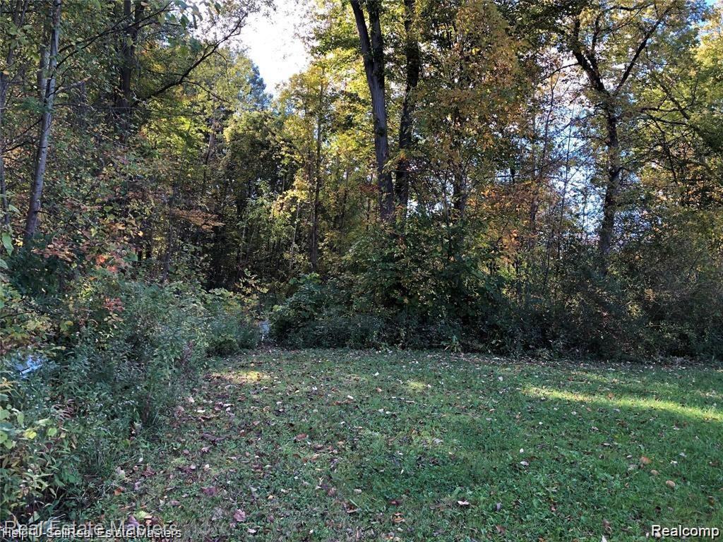 7627 Lapeer Road Goodells, MI 48027 - Photo 3 of 7