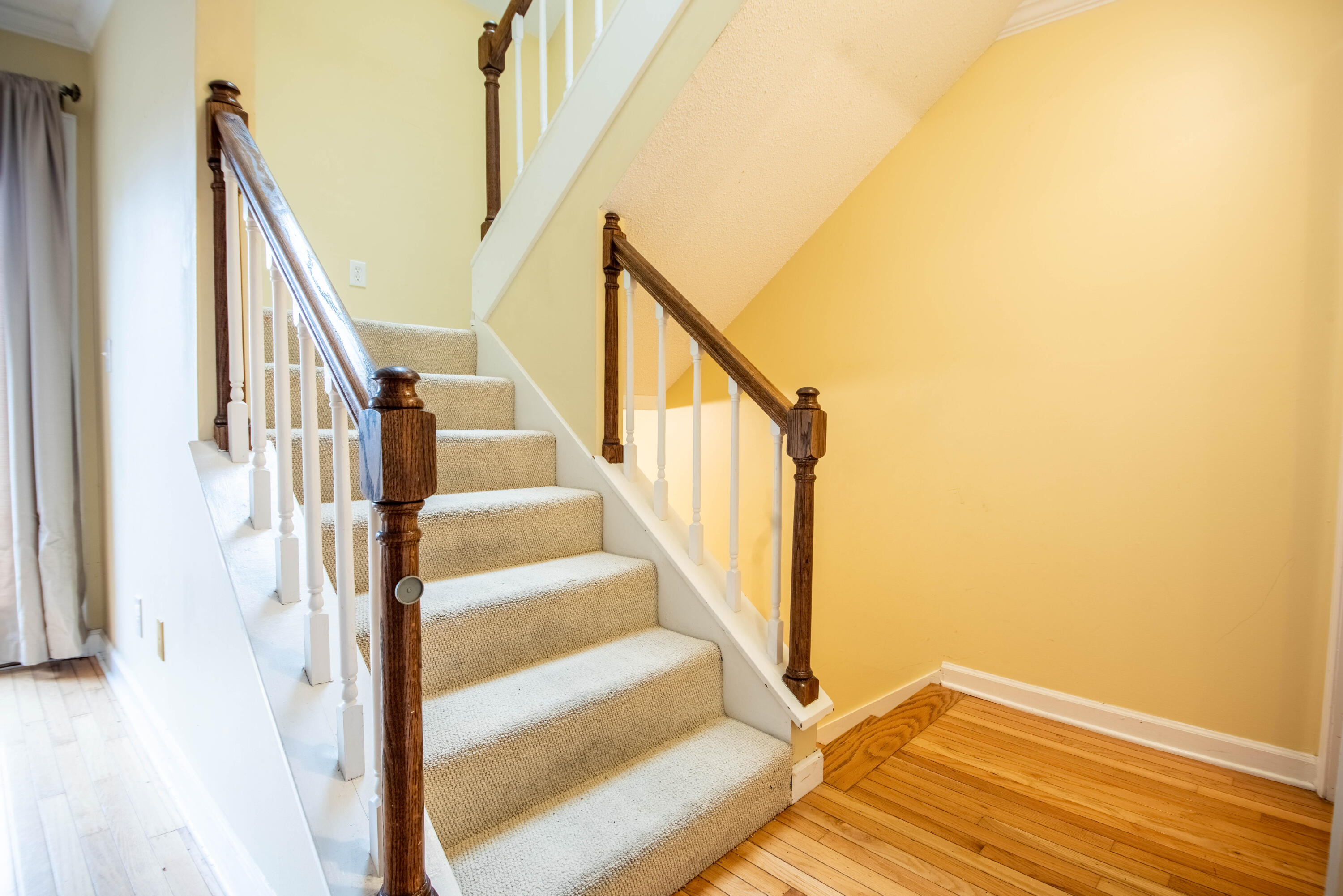 527 Winterview Lane Chattanooga, TN 37409 - Photo 16 of 53 Winterview 12