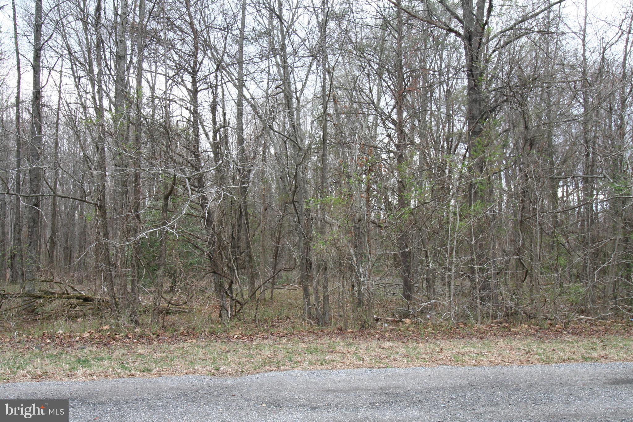 0 Floral Park Road Brandywine, MD 20613 - Photo 1 of 7 Gallery Image 1