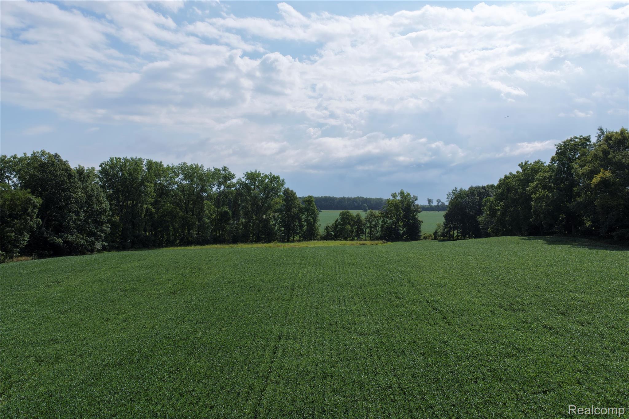 7500 Jonesville Road Allen, MI 49227 - Photo 10 of 12 AllenMI_35Acres_ParcelB_36.jpg