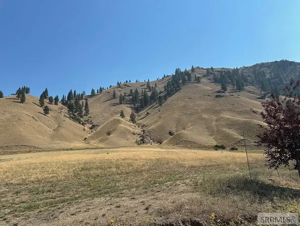 $159,000 | Tbd Tbd Emmett Rd Fork, North Fork, ID 83466