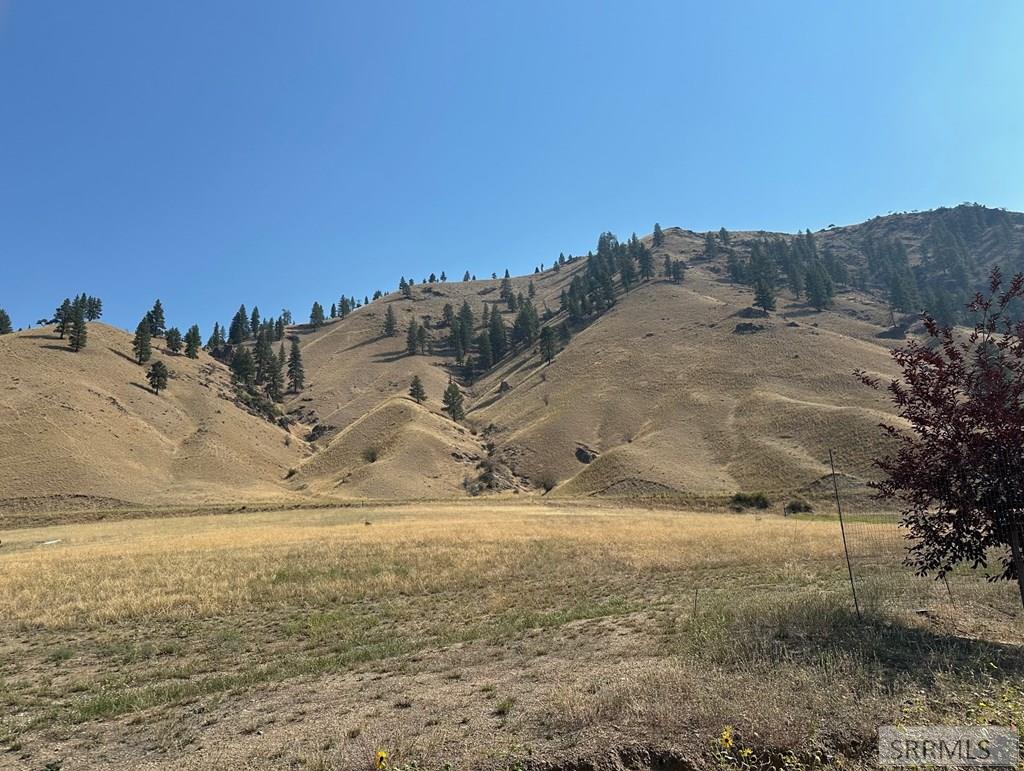 Tbd Tbd Emmett Rd Fork North Fork, ID 83466 - Photo 19 of 25