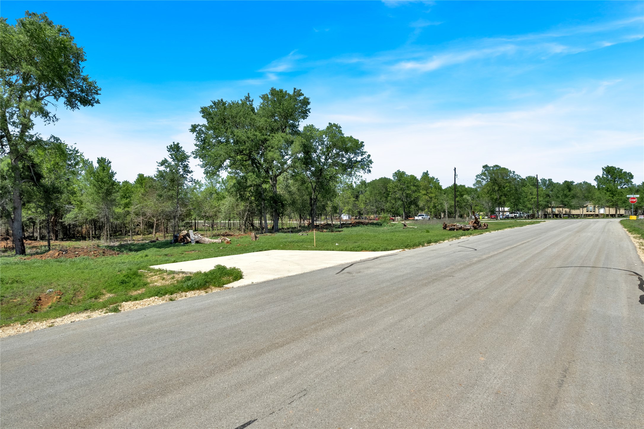 112 Empire Street Elgin, TX 78621 - Photo 21 of 22 View of street