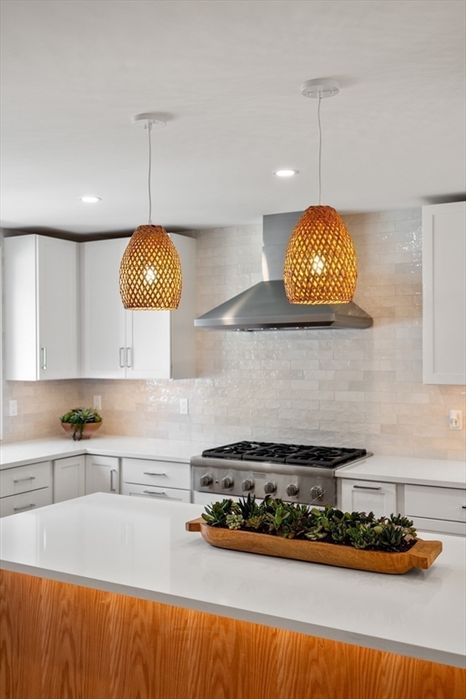 34 Coolidge Road Belmont, MA 02478 - Photo 6 of 42 Gallery Image 6