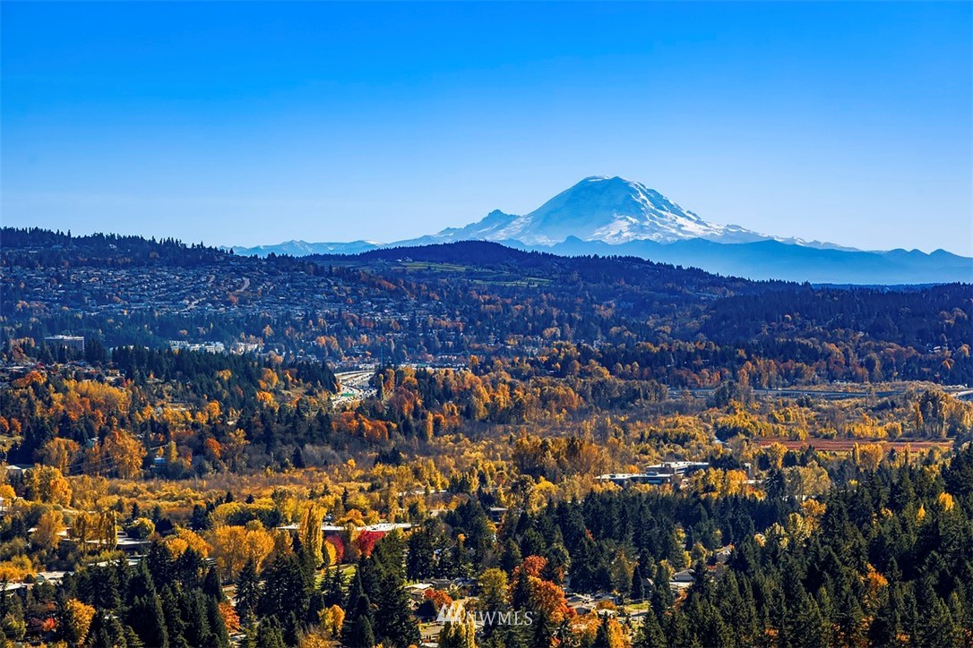 650 Bellevue Way Northeast, Unit 4102 Bellevue, WA 98004 - Photo 3 of 25 a view of city and mountain