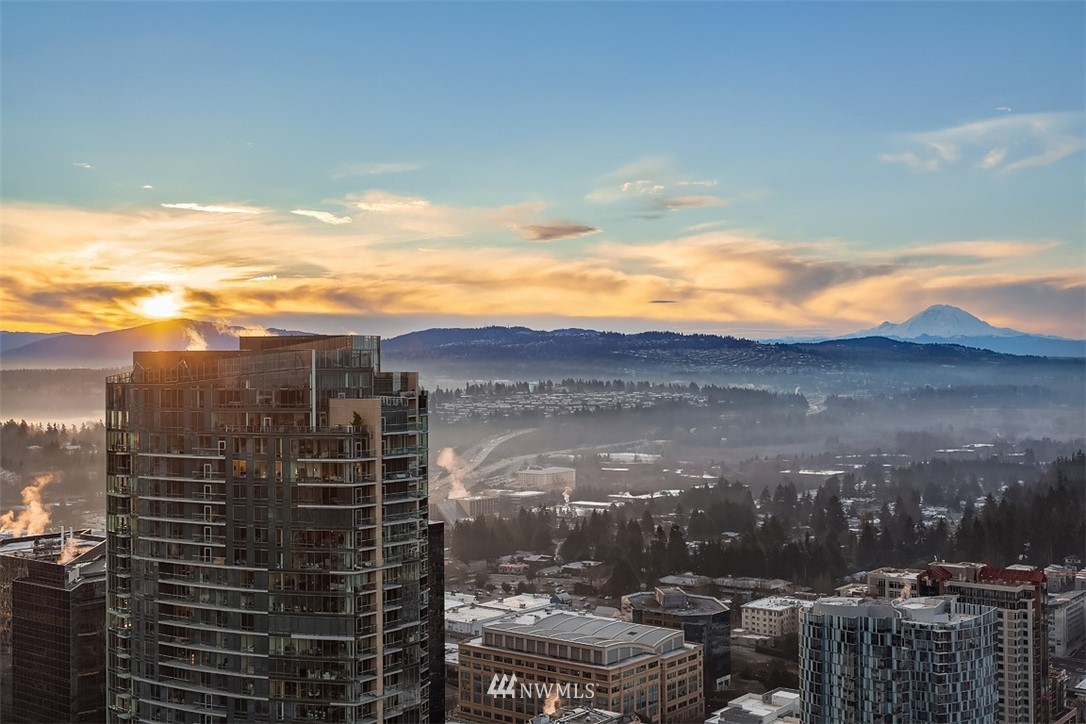 650 Bellevue Way Northeast, Unit 4102 Bellevue, WA 98004 - Photo 22 of 25 a view of a city