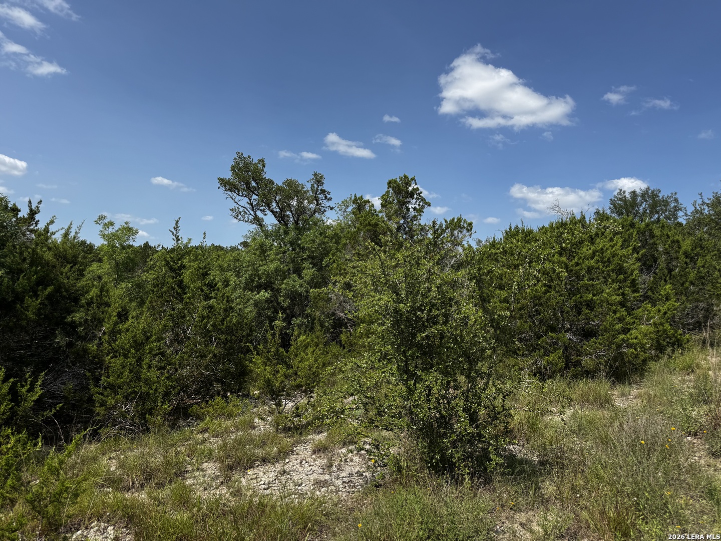 Lot 1 Hillside Drive Spring Branch, TX 78070 - Photo 9 of 11