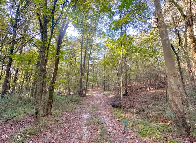 $249,999 | Mt Leopard Road, Flora, MS 39071
