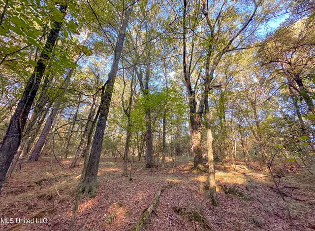 $249,999 | Mt Leopard Road, Flora, MS 39071