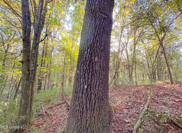 $249,999 | Mt Leopard Road, Flora, MS 39071