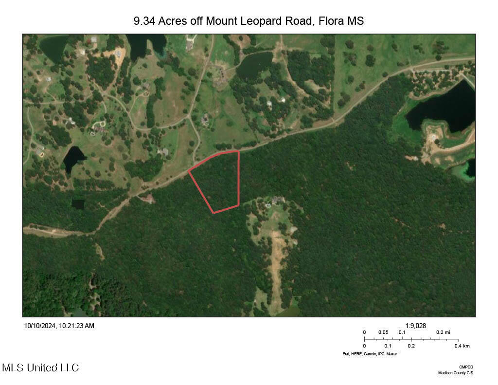 Mt Leopard Road Flora, MS 39071 - Photo 14 of 14 outline 9.34 Acres