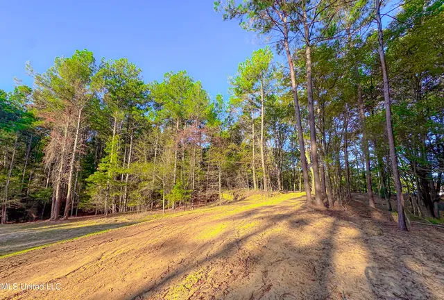 $249,999 | Mt Leopard Road, Flora, MS 39071