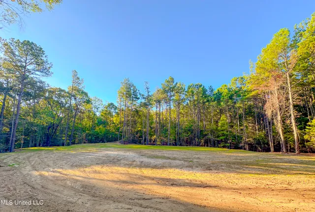 $249,999 | Mt Leopard Road, Flora, MS 39071