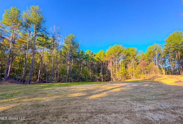 $249,999 | Mt Leopard Road, Flora, MS 39071