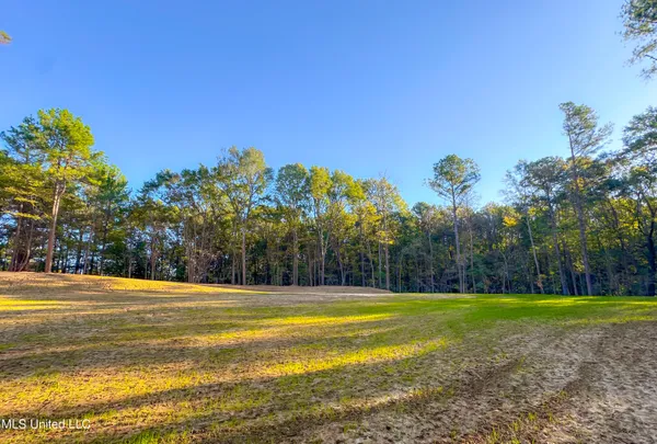$249,999 | Mt Leopard Road, Flora, MS 39071