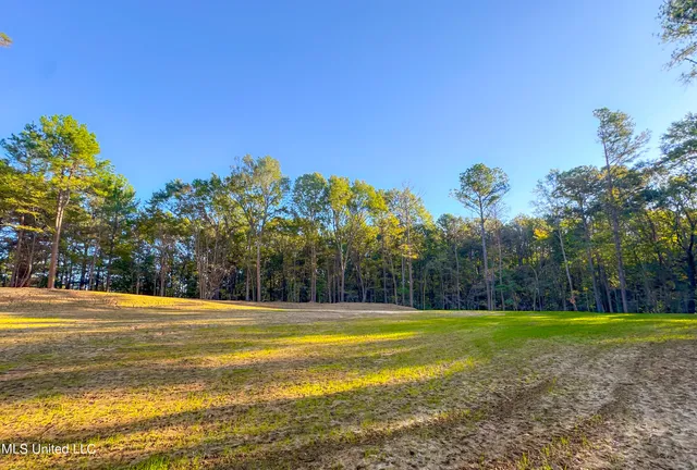 $249,999 | Mt Leopard Road, Flora, MS 39071