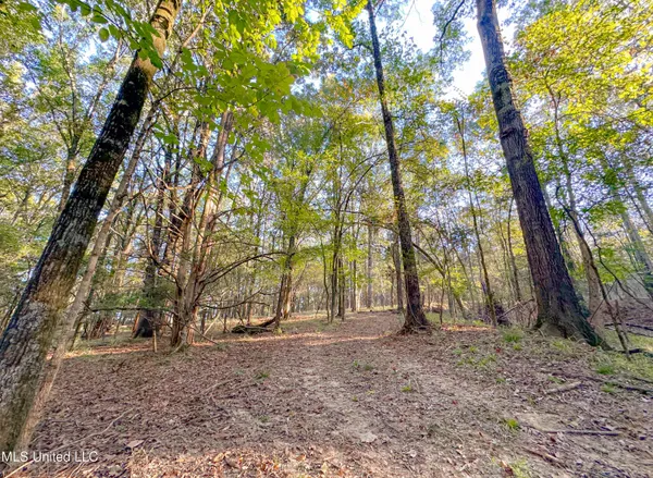 $249,999 | Mt Leopard Road, Flora, MS 39071