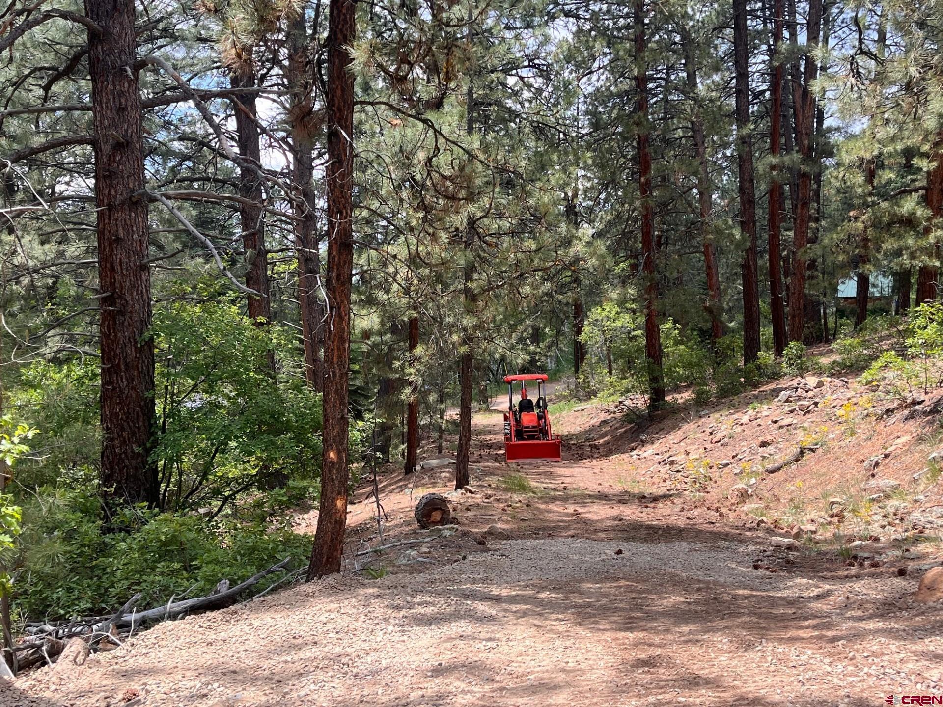 a view of a road with trees