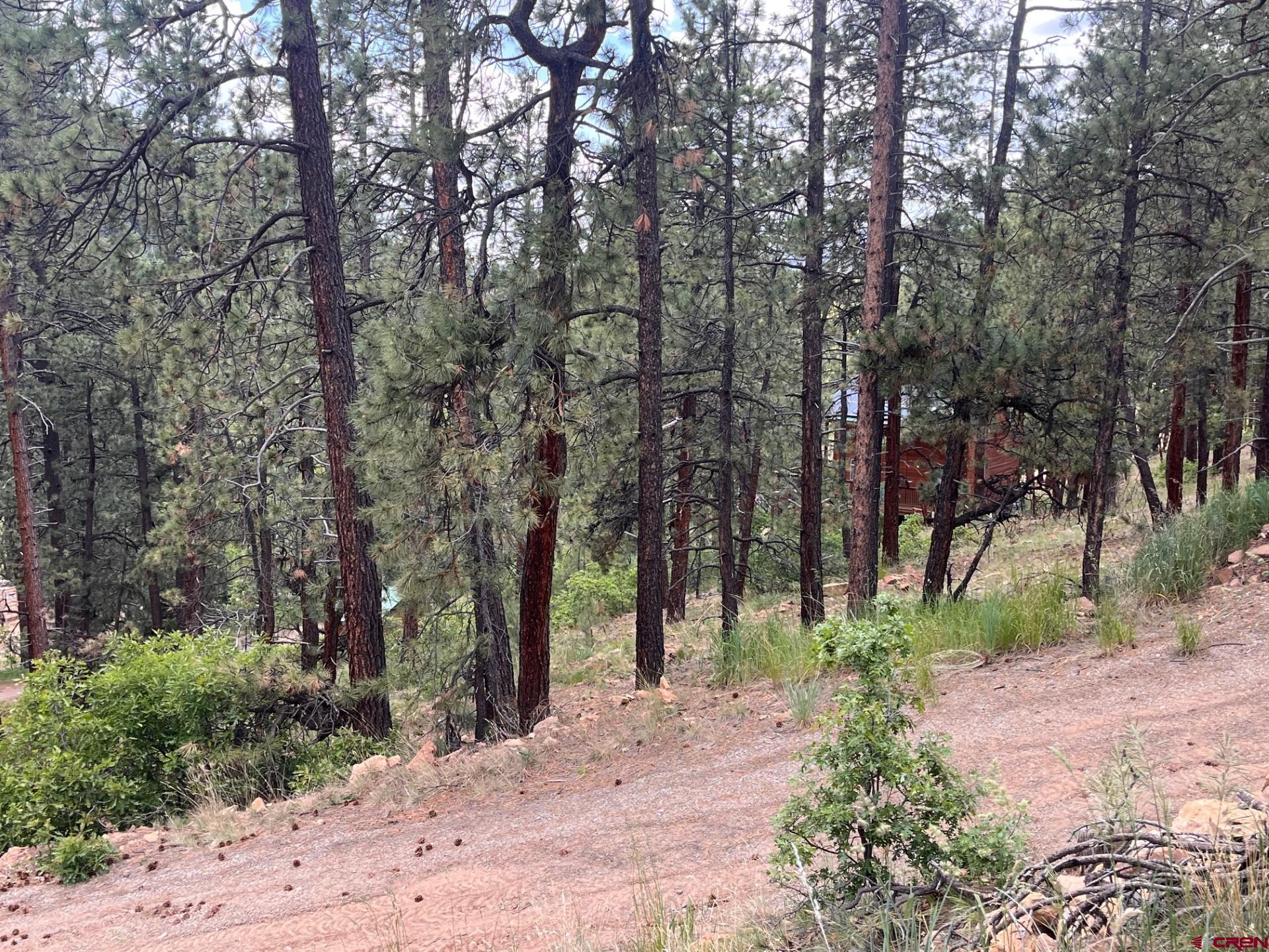 19 Glenn Lane Durango, CO 81301 - Photo 11 of 12 a view of a park with large trees