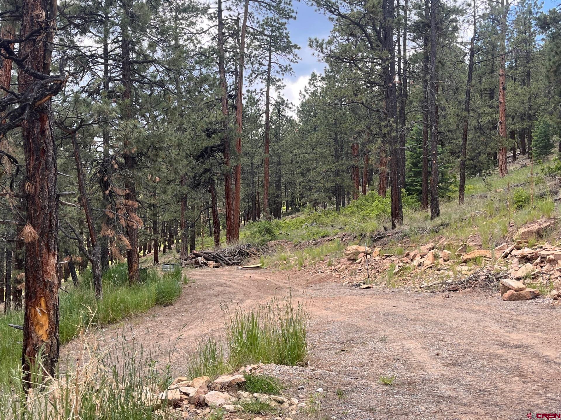 19 Glenn Lane Durango, CO 81301 - Photo 12 of 12 a dirt road with trees in the background