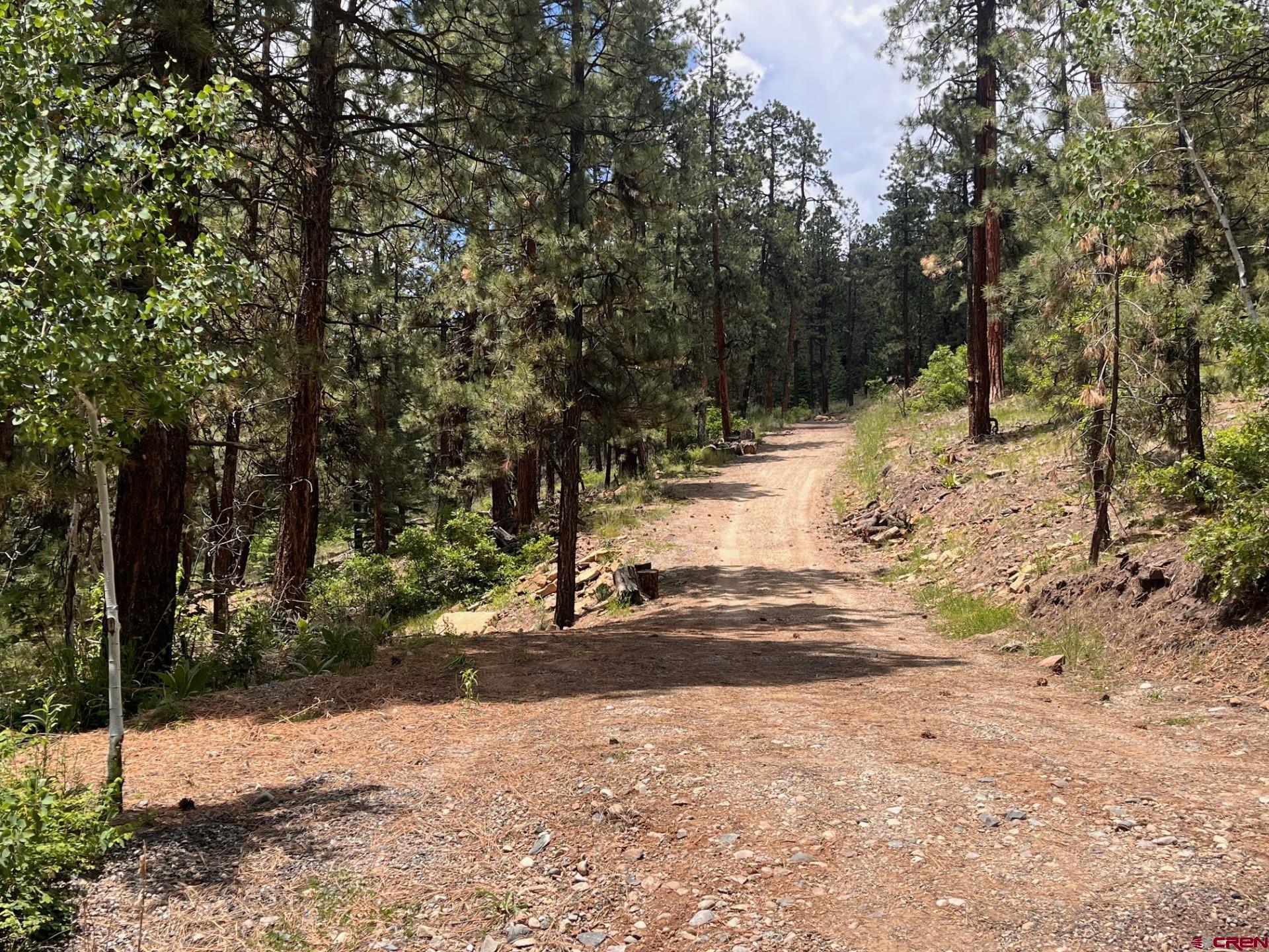 19 Glenn Lane Durango, CO 81301 - Photo 2 of 12 a view of a yard with trees
