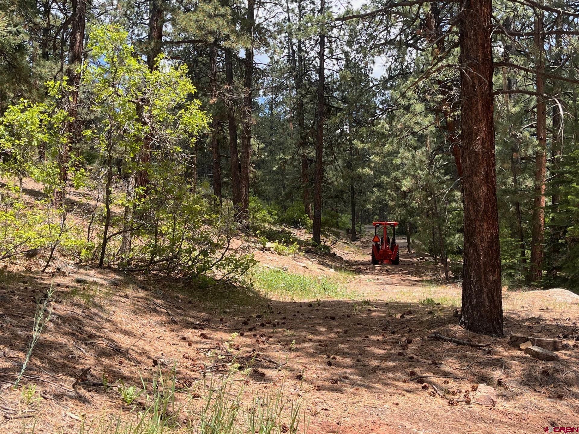 19 Glenn Lane Durango, CO 81301 - Photo 3 of 12 a view of a yard with trees