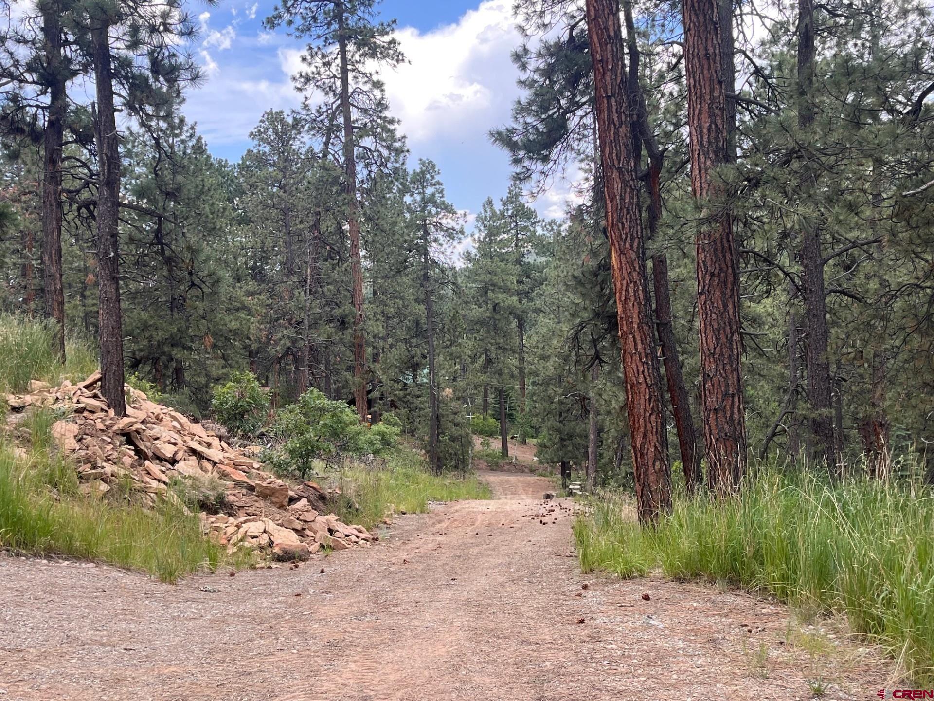 19 Glenn Lane Durango, CO 81301 - Photo 7 of 12 a view of a road with plants and trees