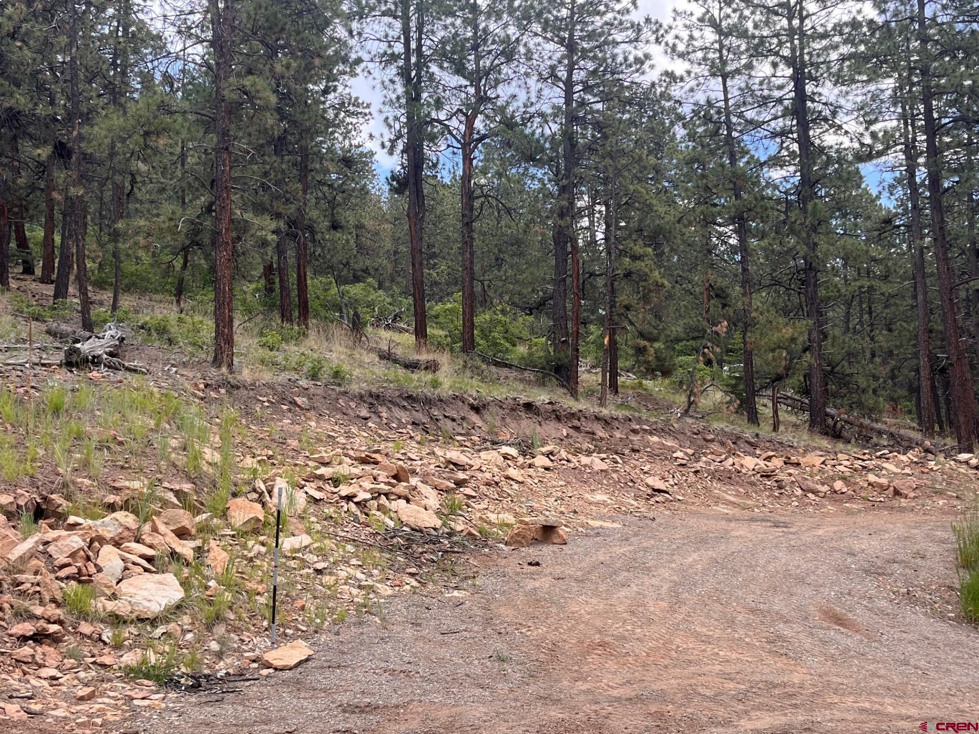 19 Glenn Lane Durango, CO 81301 - Photo 8 of 12 a view of a forest with trees in the background