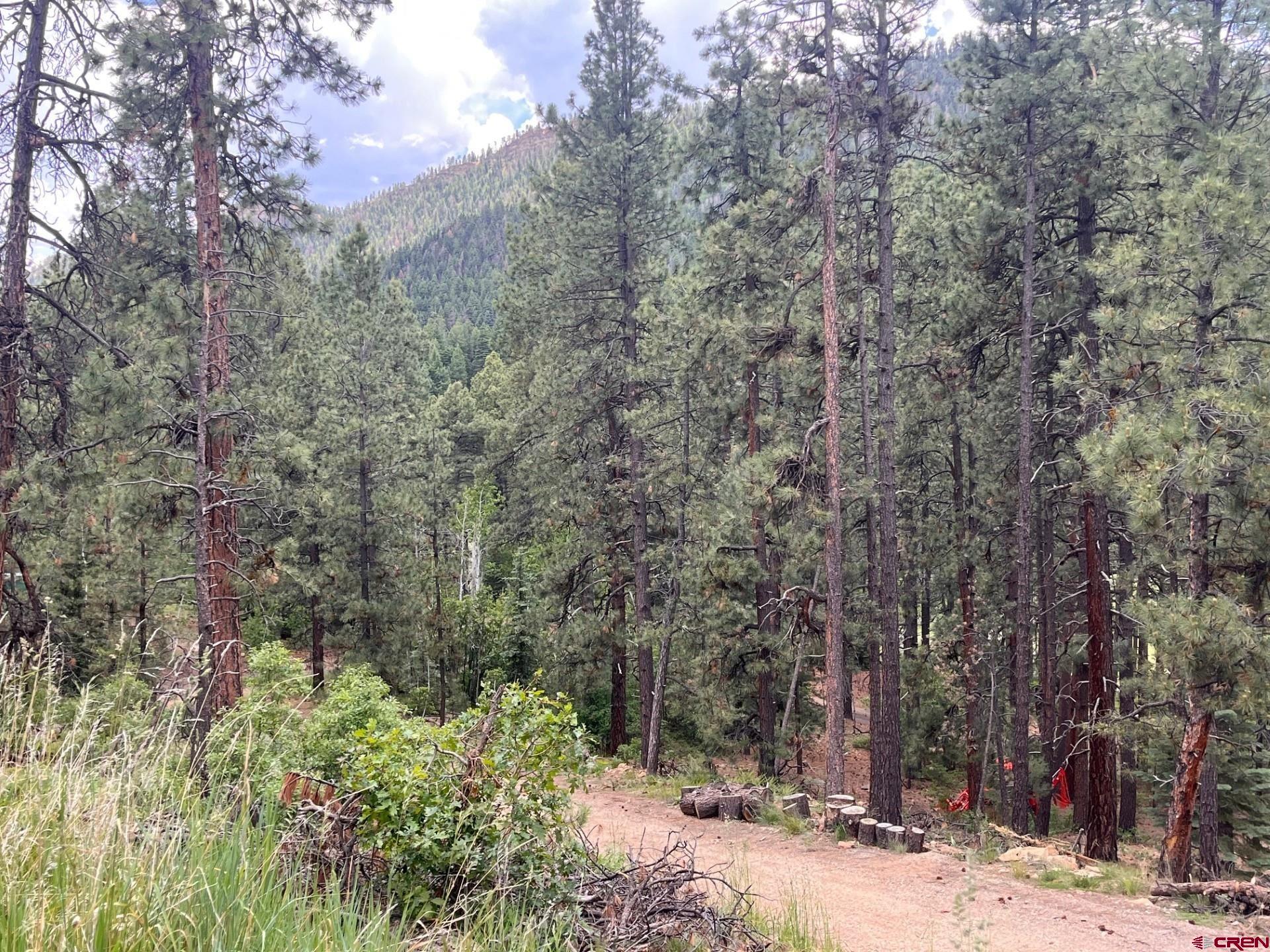 19 Glenn Lane Durango, CO 81301 - Photo 10 of 12 a view of a backyard with trees