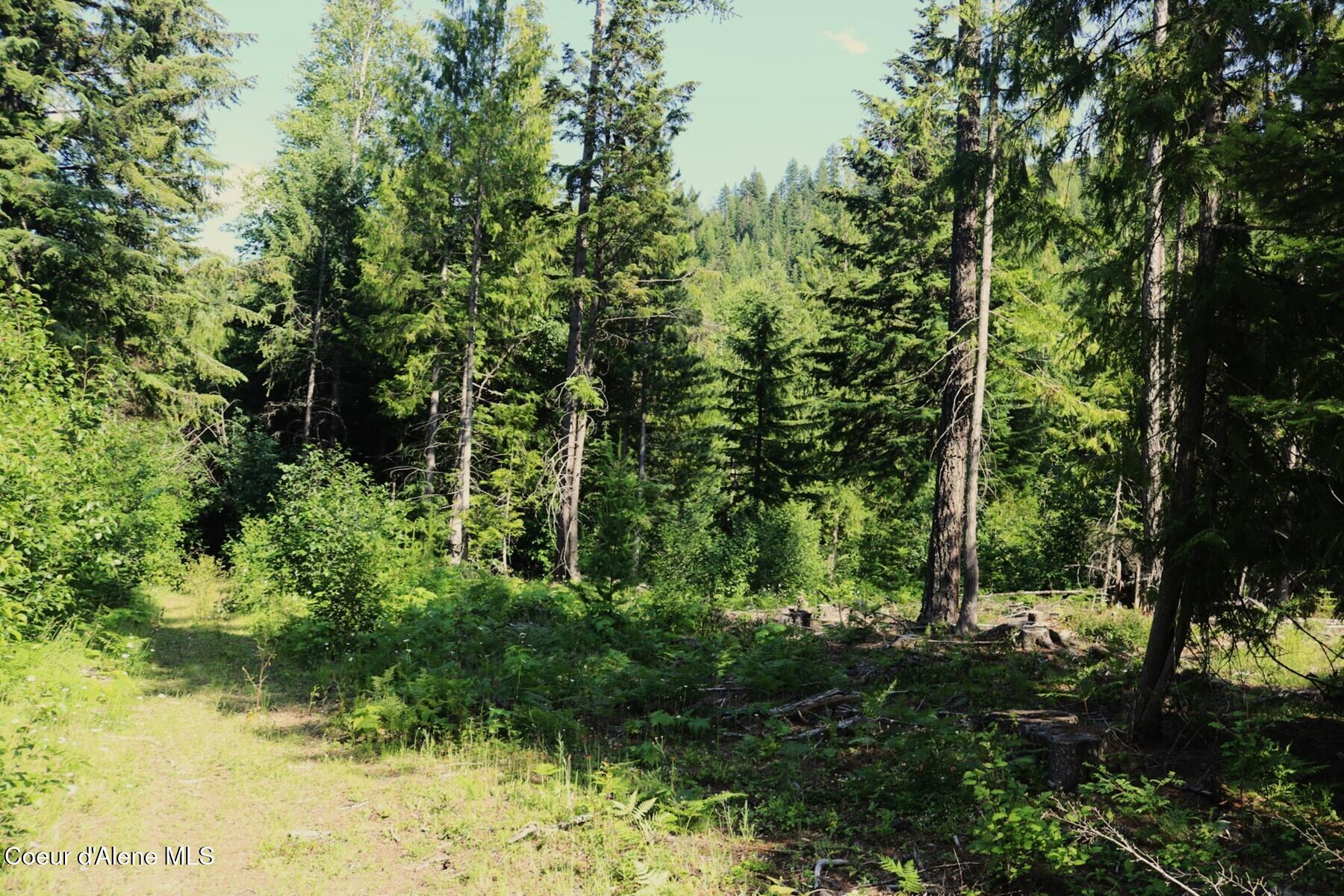 Nka Slippery Slope Trail Priest River, ID 83856 - Photo 12 of 16 Trails and Heavy Woods