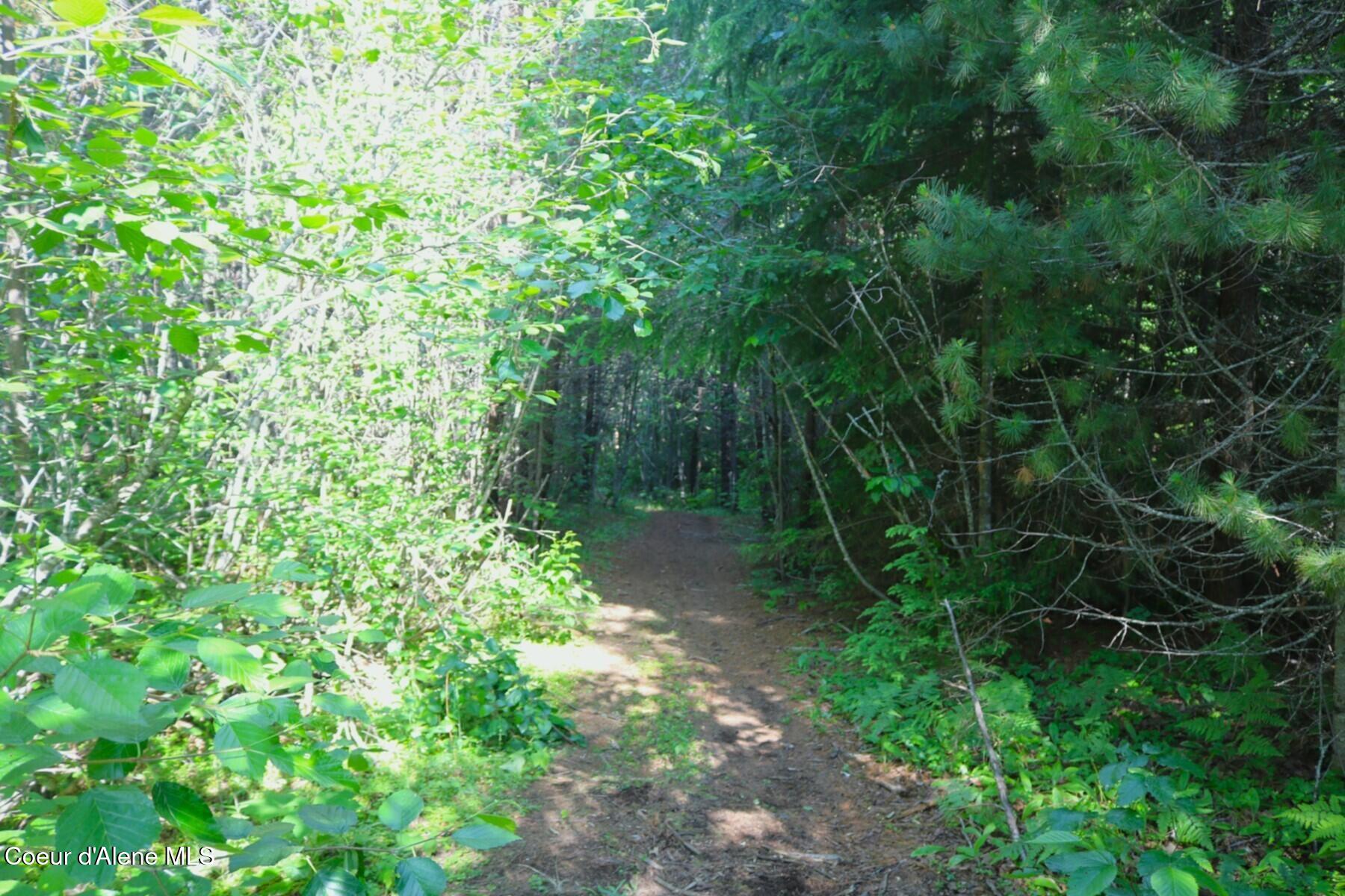 Nka Slippery Slope Trail Priest River, ID 83856 - Photo 13 of 16 Trails and Heavy Woods