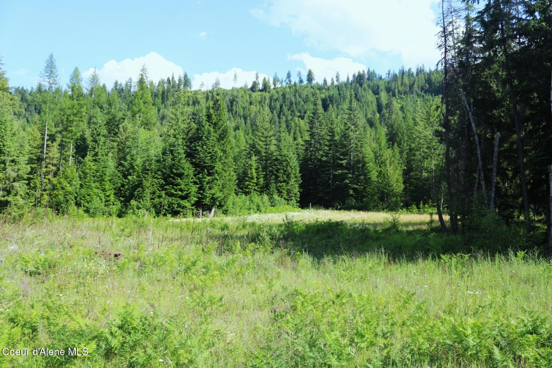 Nka Slippery Slope Trail Priest River, ID 83856 - Photo 14 of 16 Beautiful Pastures