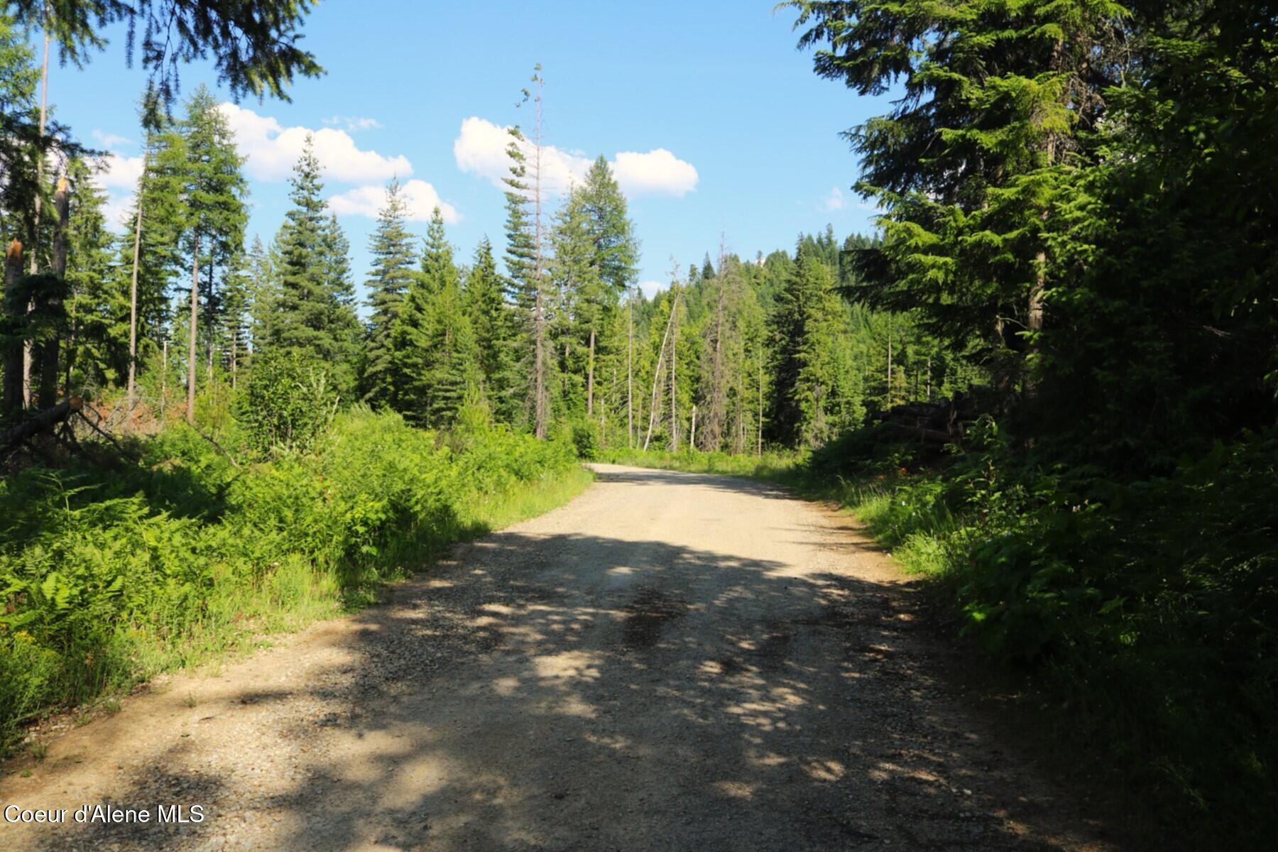 Nka Slippery Slope Trail Priest River, ID 83856 - Photo 15 of 16 Slippery Slope Trail