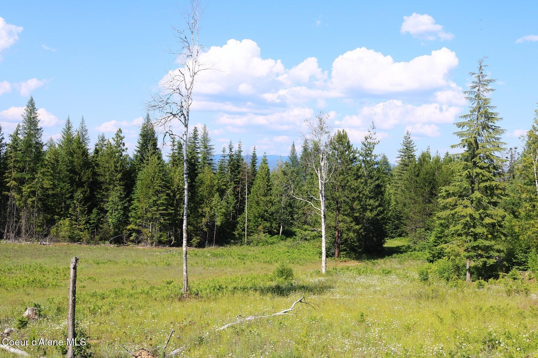 Nka Slippery Slope Trail Priest River, ID 83856 - Photo 2 of 16 BuildingPasture Area
